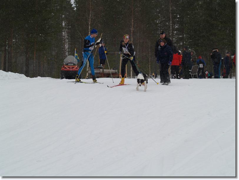 Nästa bild